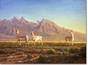Prong-Horned Antelope Albert Bierstadt